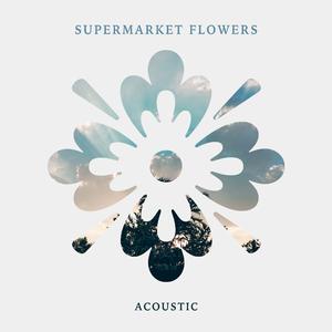 Ed Sheeran - Supermarket Flowers （升2半音）