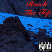 到顶 "Reach The Top"