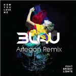 How You Love Me (Artegon Remix)专辑