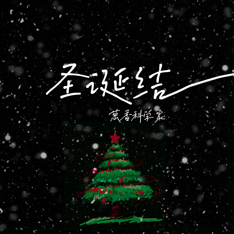 圣诞结