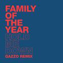 Hold Me Down (Gazzo Remix)专辑