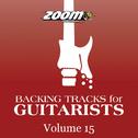 Backing Tracks for Guitarists, Vol. 15专辑