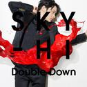 Double Down专辑