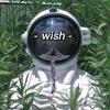 karrynoluv - Wish （prod by EVOMUSIC）