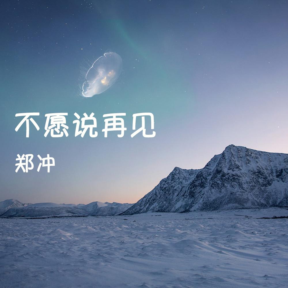 不愿说再见