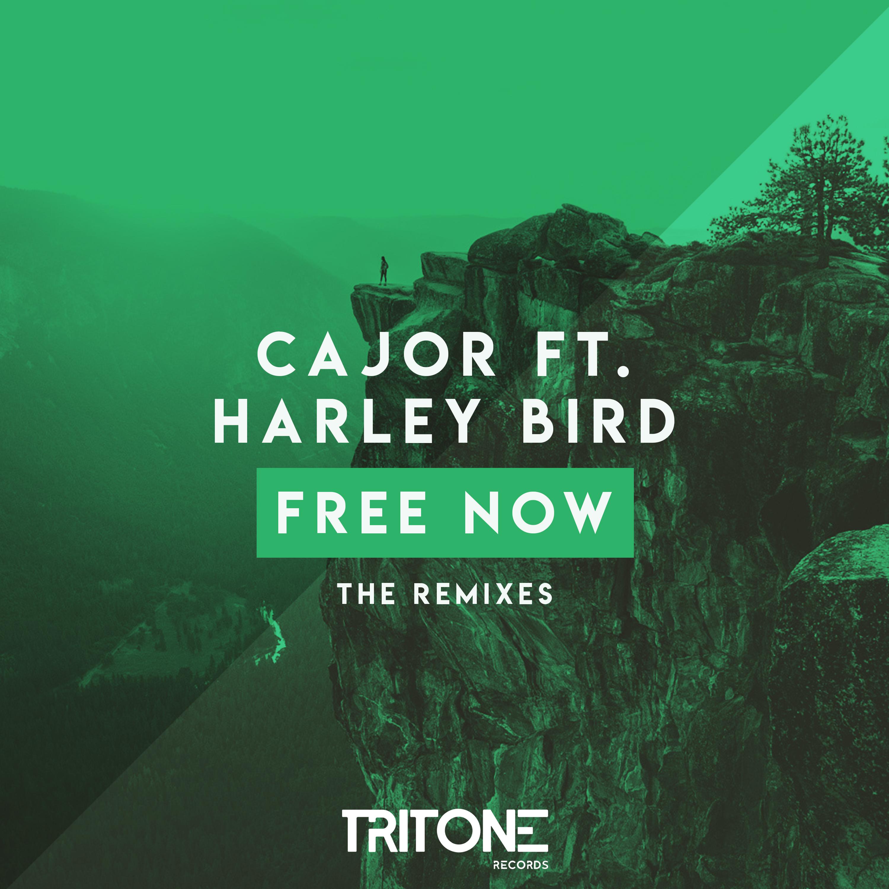 Cajor ft. Harley Bird - Free Now (Denzel Moïz Remix)