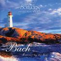 Bach: Forever by the Sea专辑