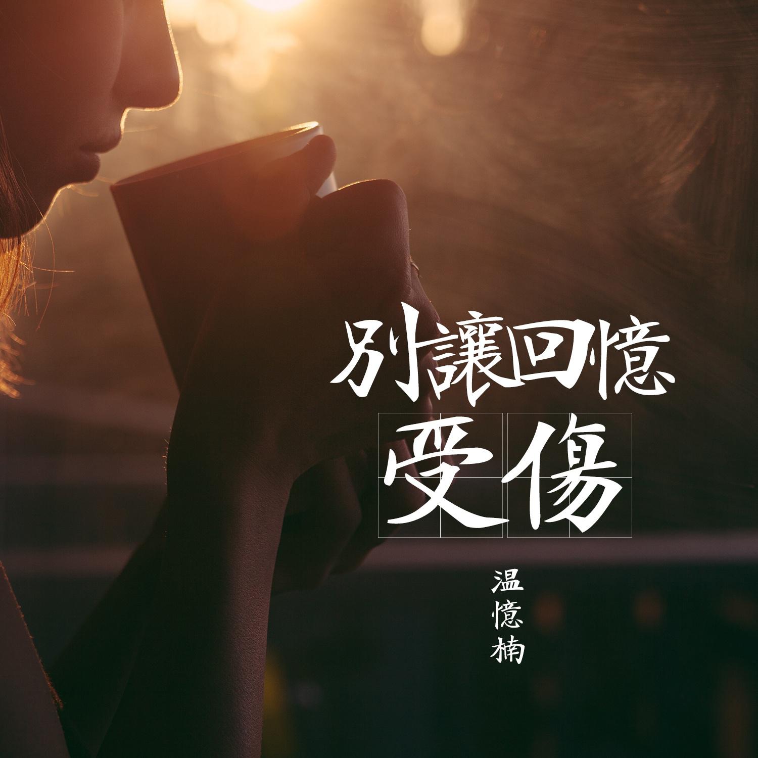 别让回忆受伤专辑