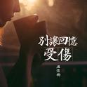 别让回忆受伤专辑