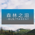 森林幻想