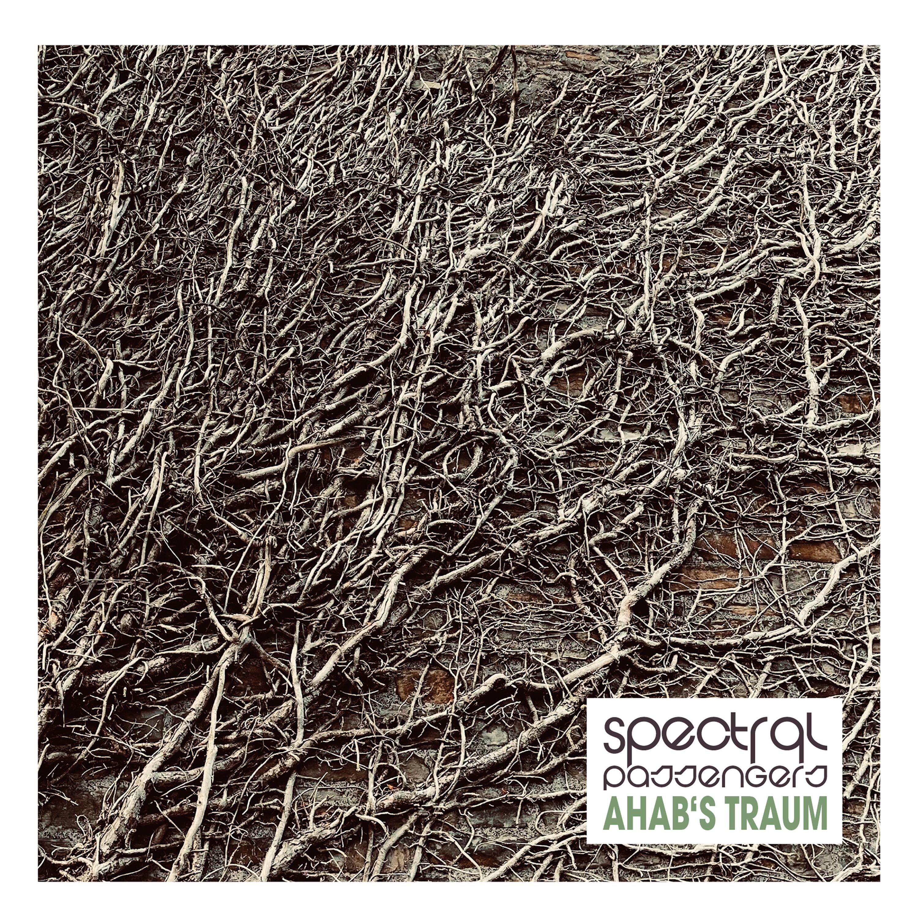 The True Enemy Lies Within