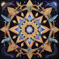 Light Healing (Live Sessions)