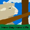 NDNL (New Day New Life)