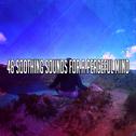 46 Soothing Sounds For A Peaceful Mind专辑