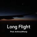 Long Flight