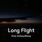 Long Flight专辑