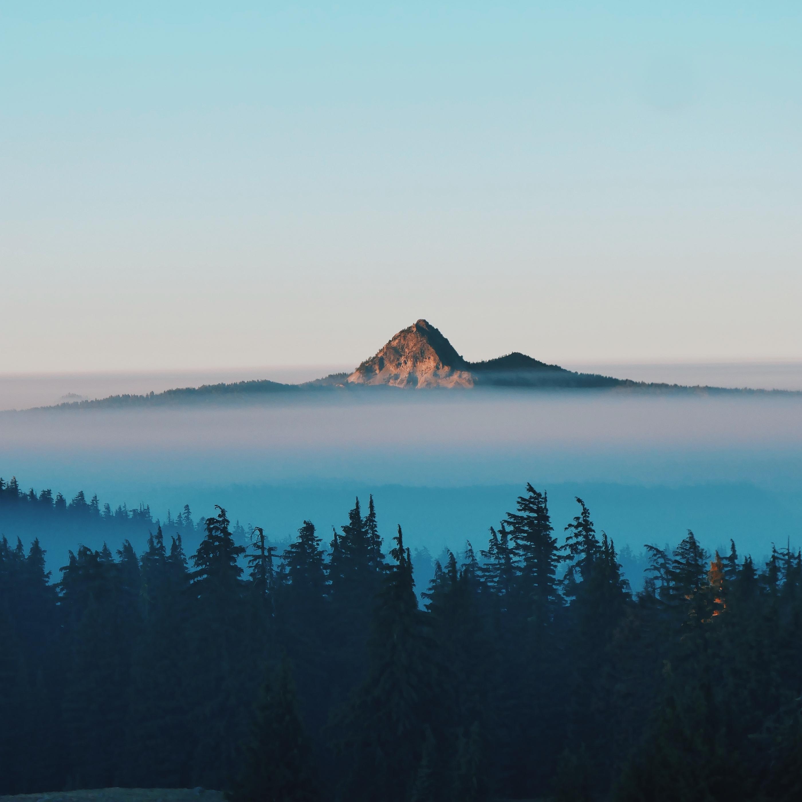 Release from silence