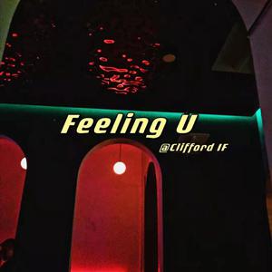 feeling u（唯一首发原版）