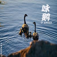 乐奇 - 咏鹅 - 骆宾王 诗歌儿歌故事朗读中小学生必背古诗词音乐(原版伴奏)