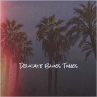 Delicate Blues Tunes
