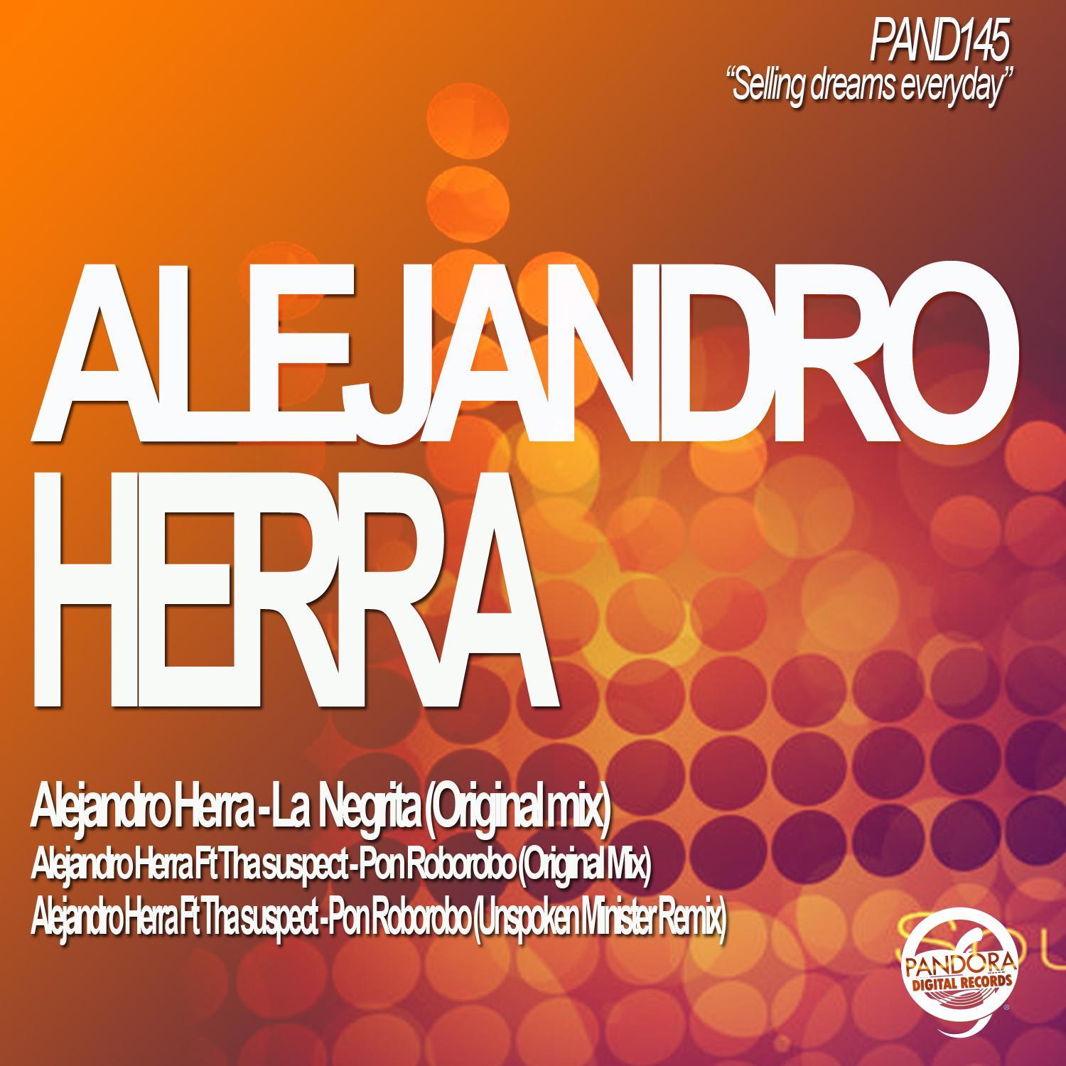 Pon Roborobo (Original Mix)