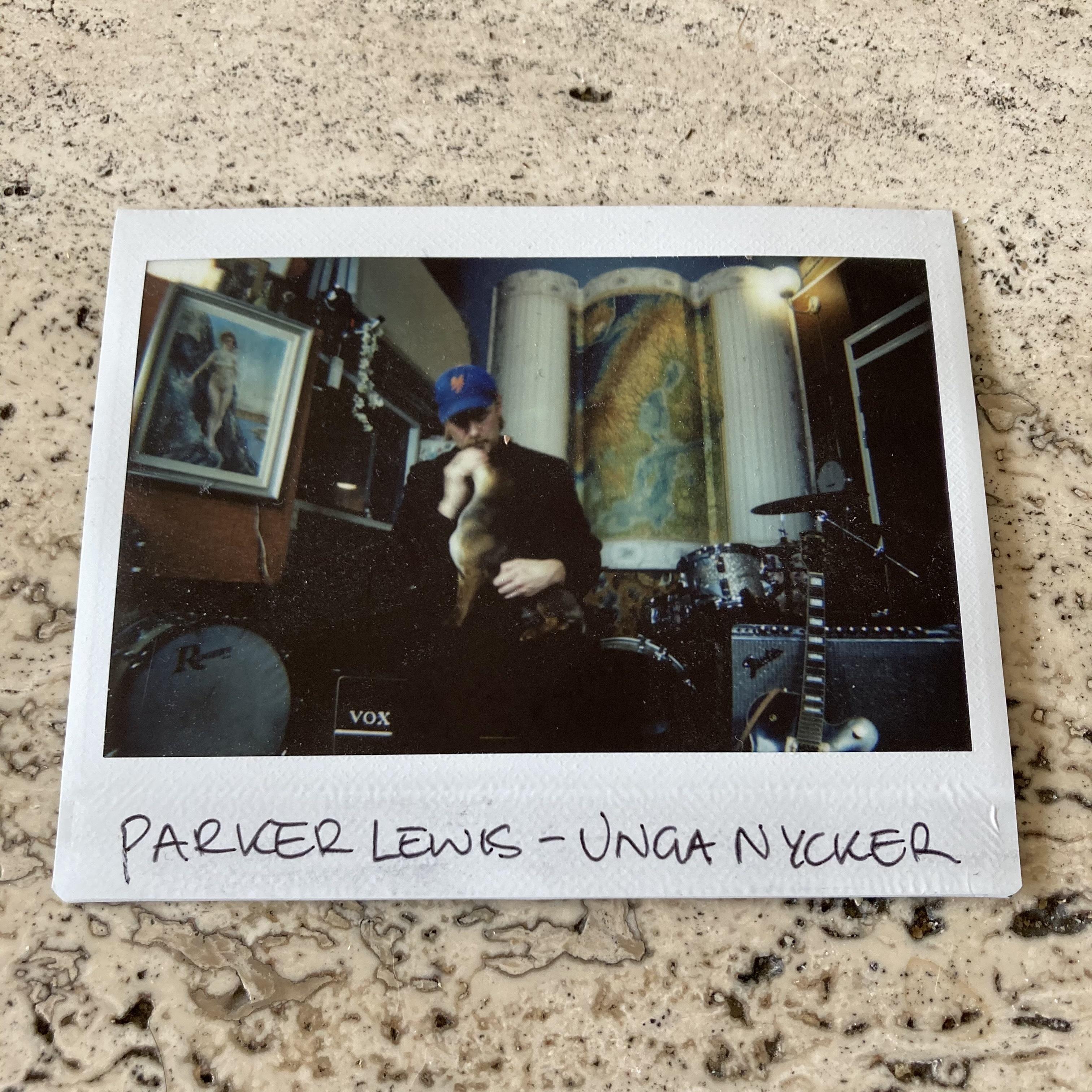 Unga Nycker