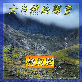白噪音丨壁炉 烤火 柴火 篝火