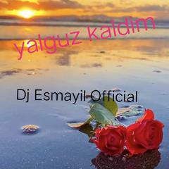 yalguz kaldem