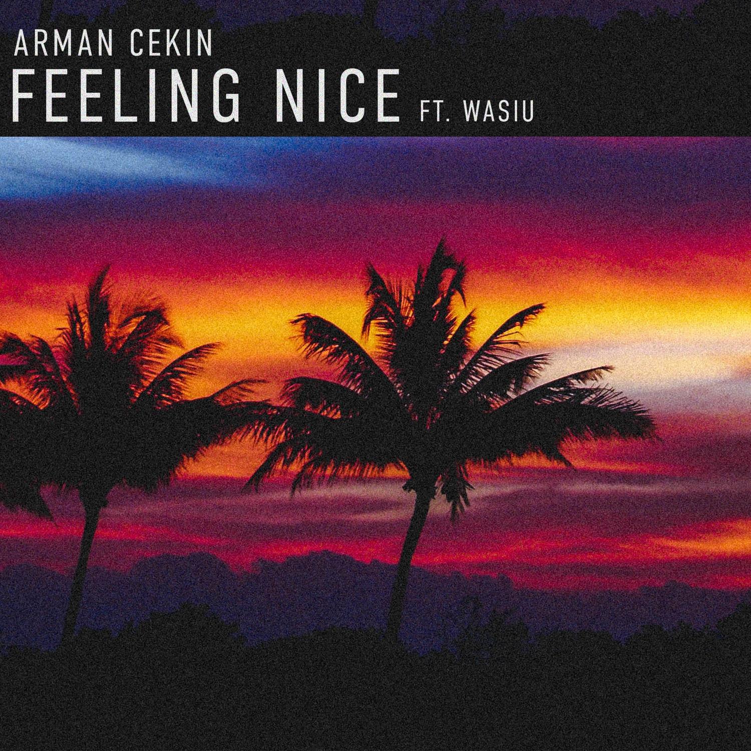 Feeling Nice