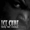 Why We Thugs专辑