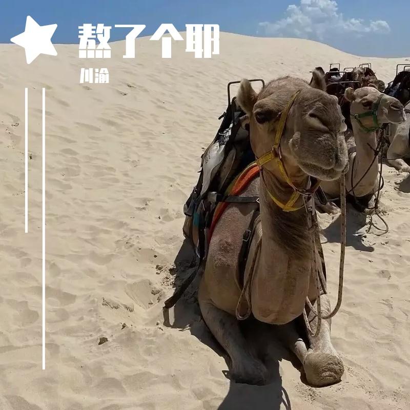 熬了个耶