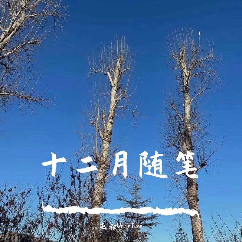 十二月随笔