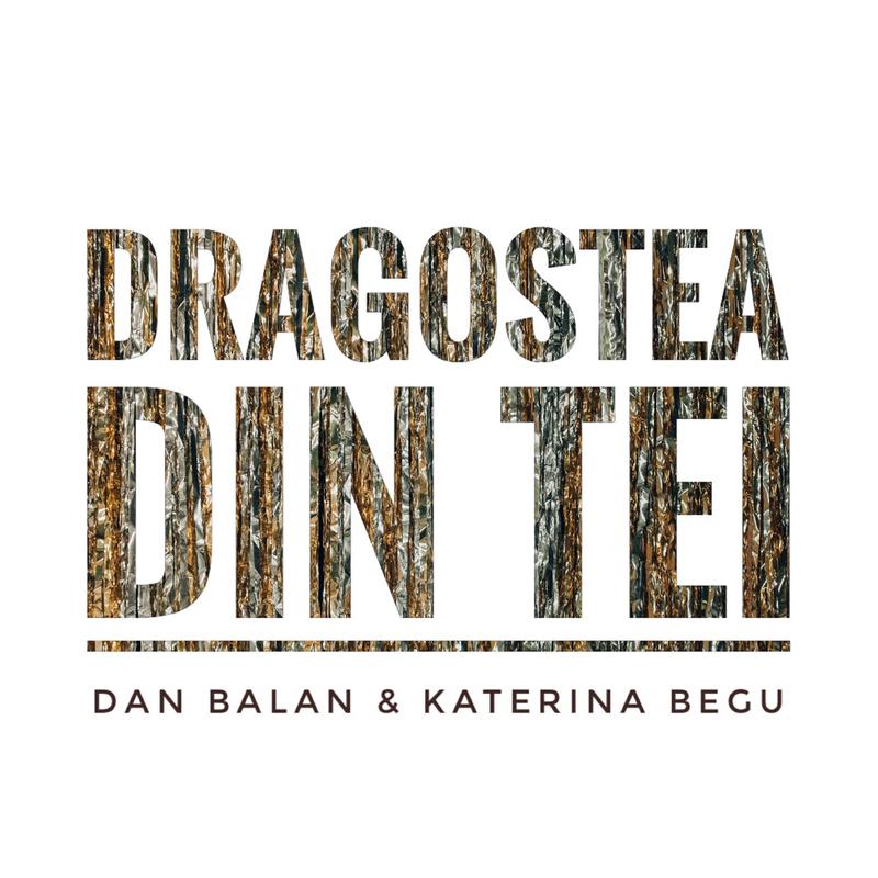 Dan Bălan - Dragostea Din Tei