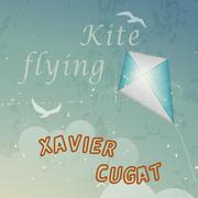 Kite Flying