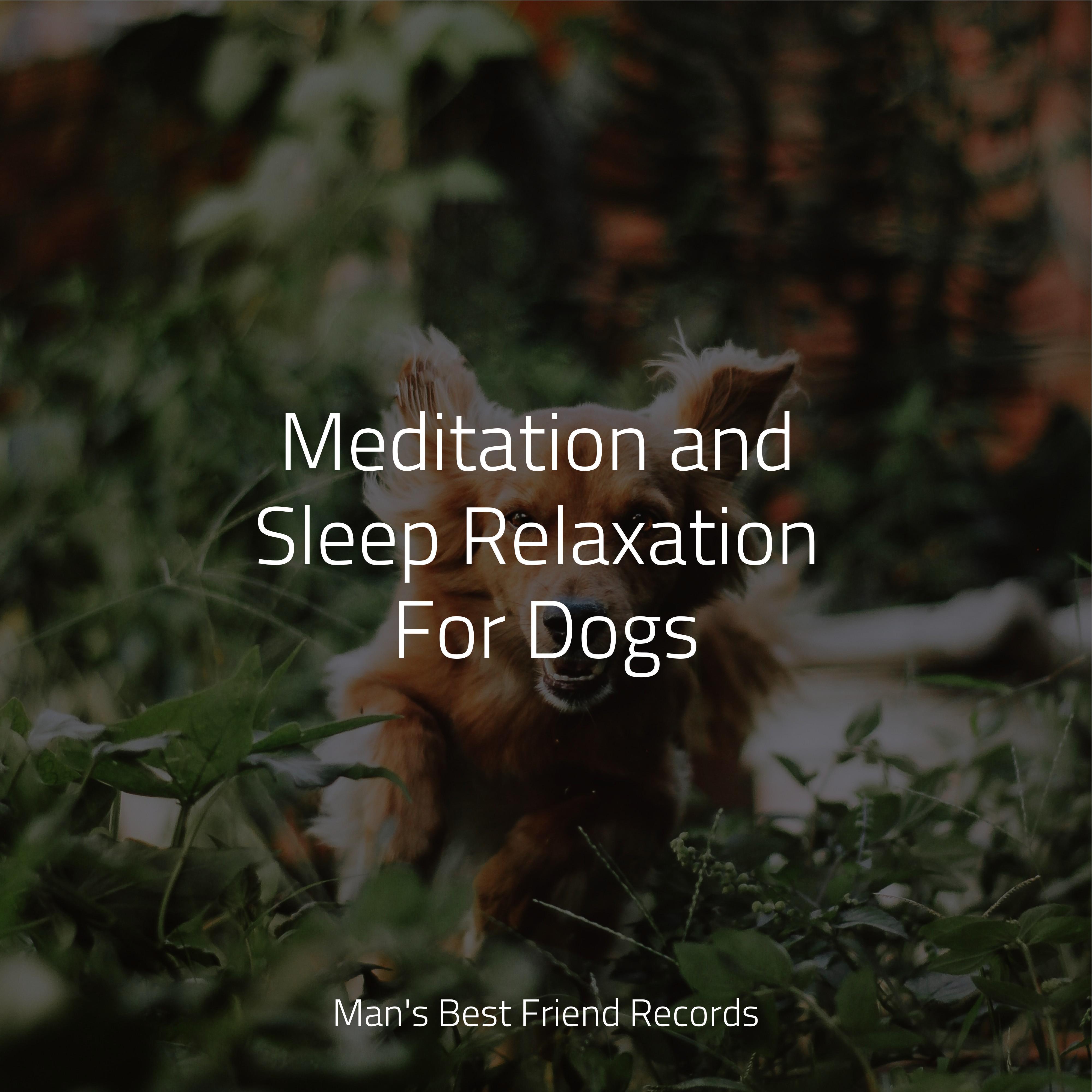 Music For Dogs - Stress Removal