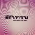 Butterfly Effect