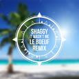 It Wasn't Me (Le Boeuf Remix)