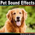 Pet Sound Effects