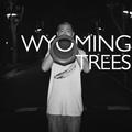 Wyoming Trees