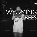 Wyoming Trees专辑