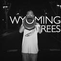 Wyoming Trees专辑