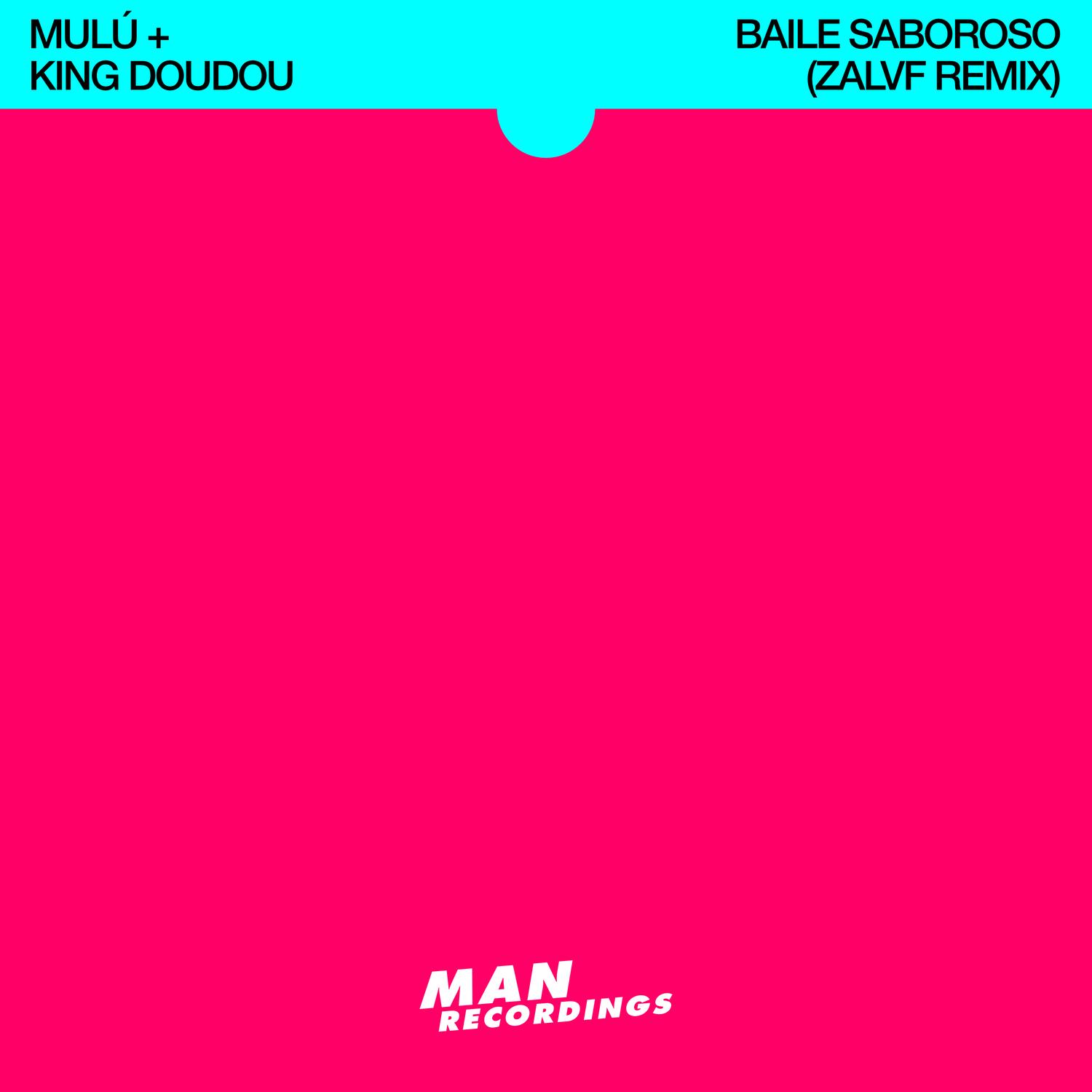 Baile Saboroso (Zalvf Remix)