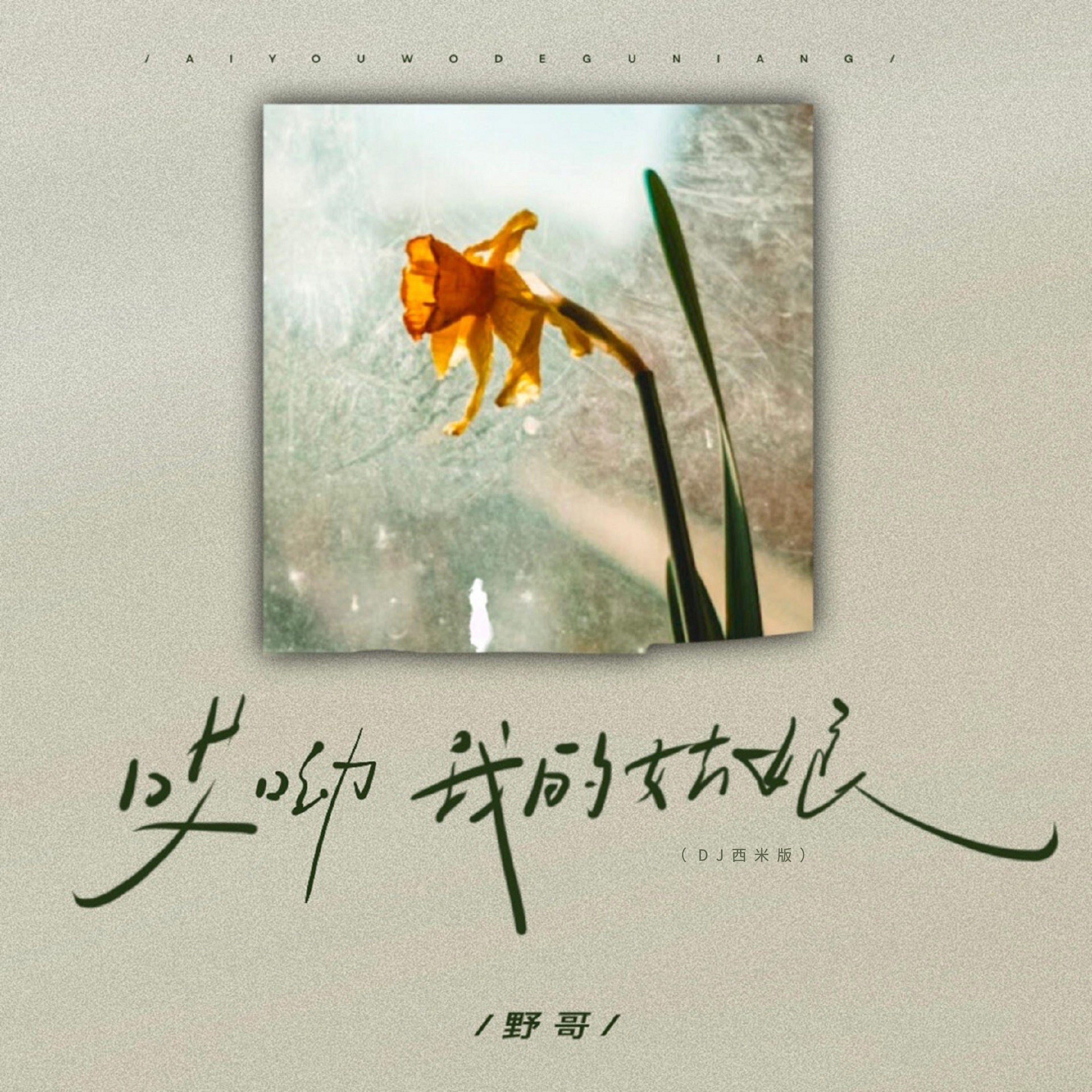 哎呦我的姑娘 (DJ西米版)