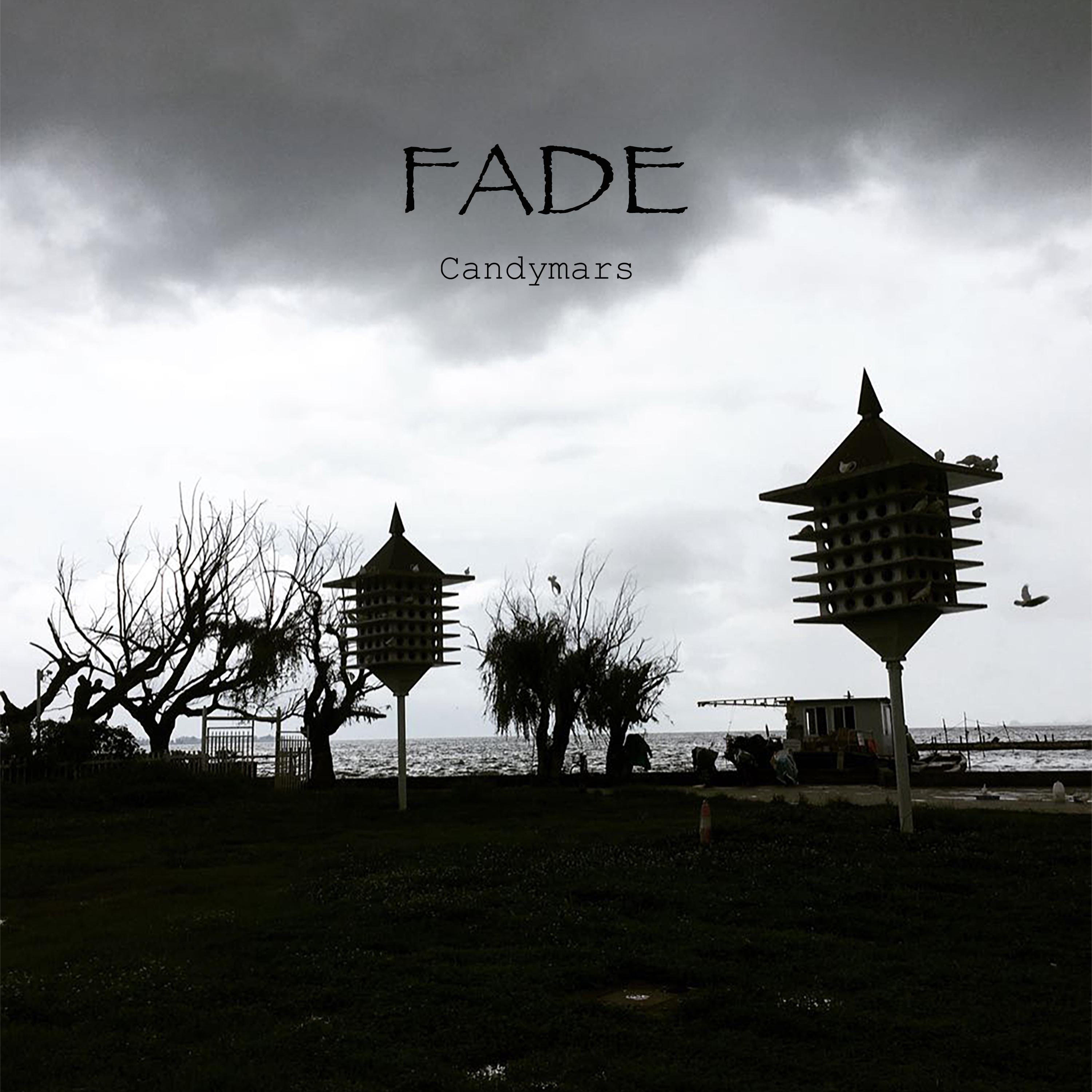 Fade / 褪专辑