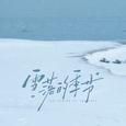 雪落的季节
