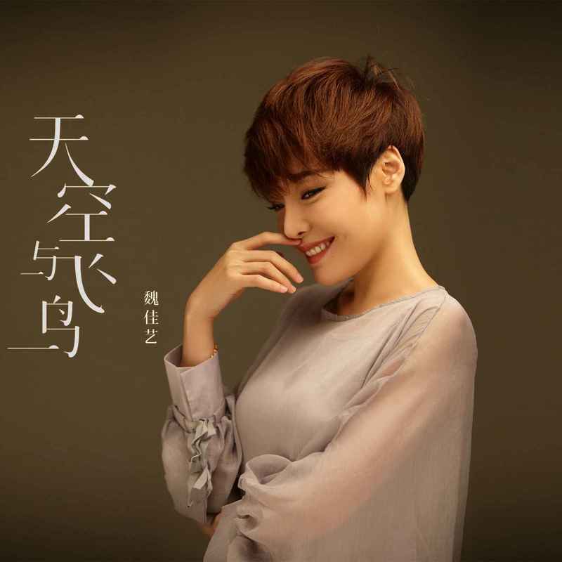 魏佳艺歌曲封面