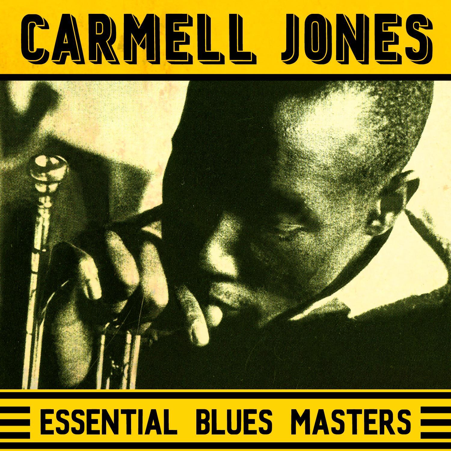Essential Blues Masters