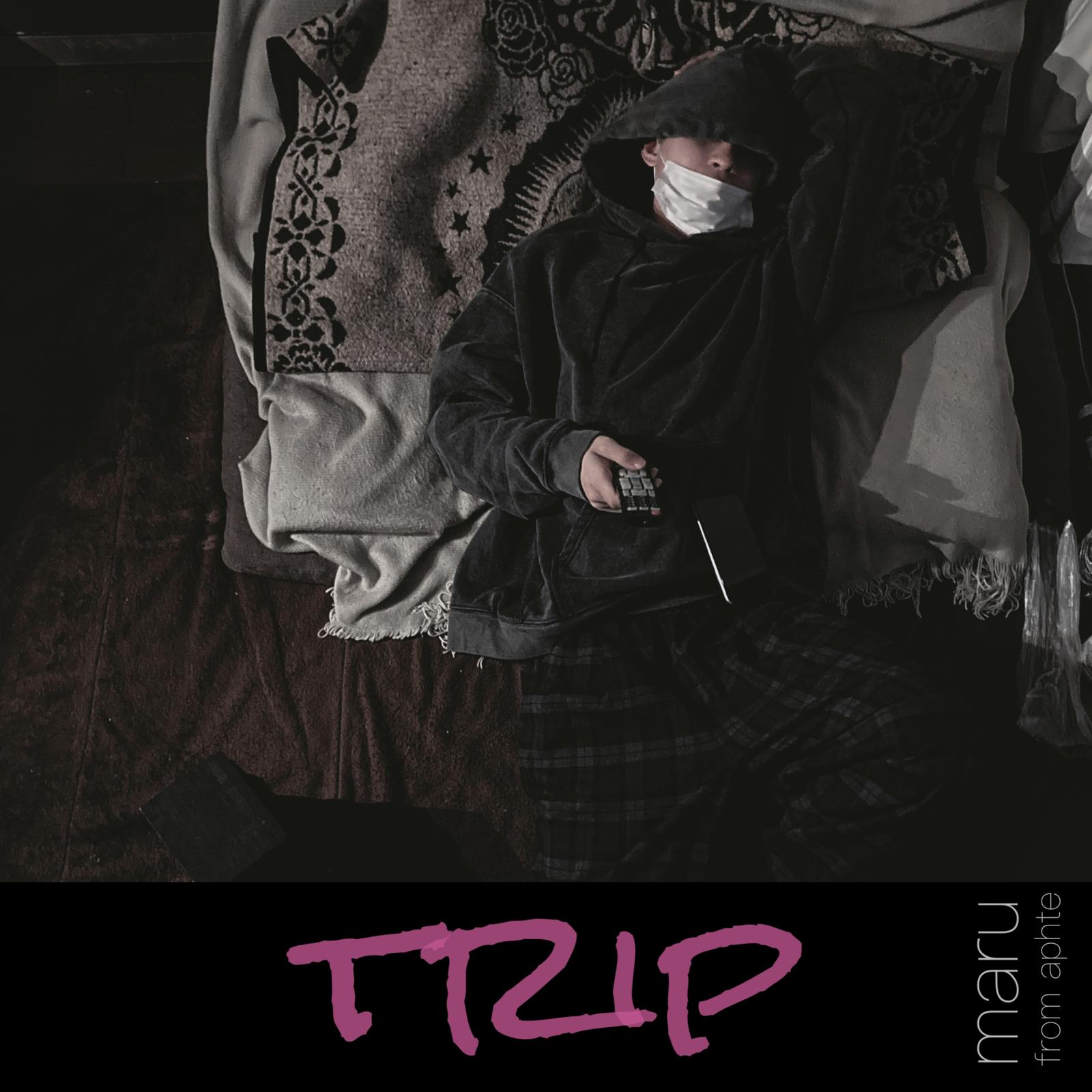 trip