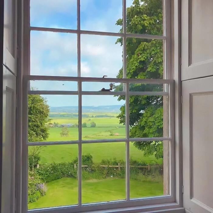 走狗（翻自周柏豪）