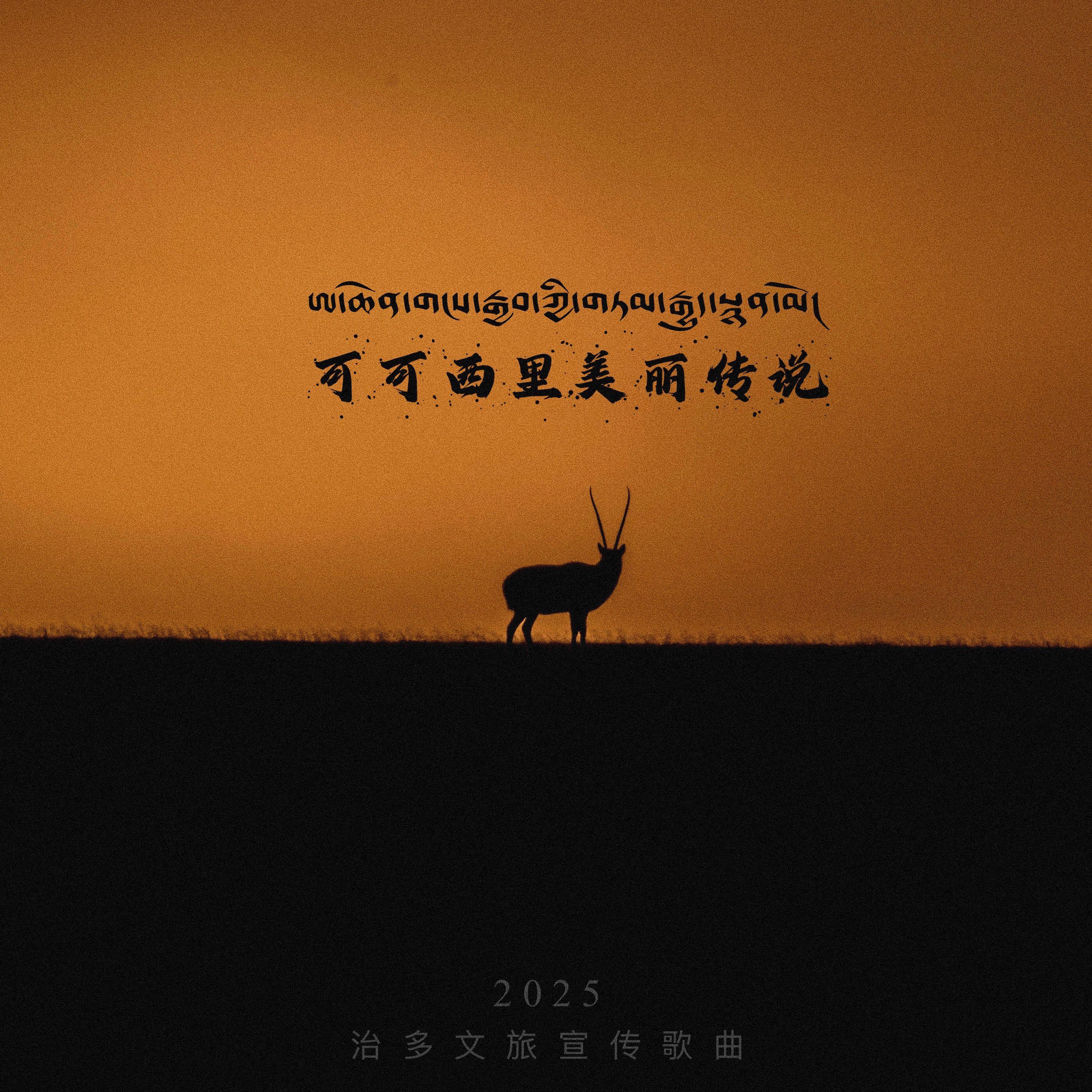 可可西里美丽传说